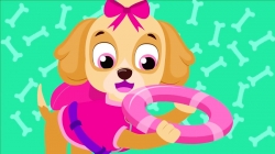 مجموعه آموزشی زبان انگلیسی little angel قسمت 329